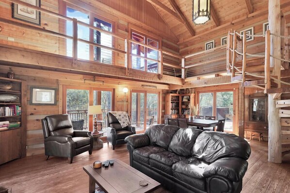 TV, fireplace, books