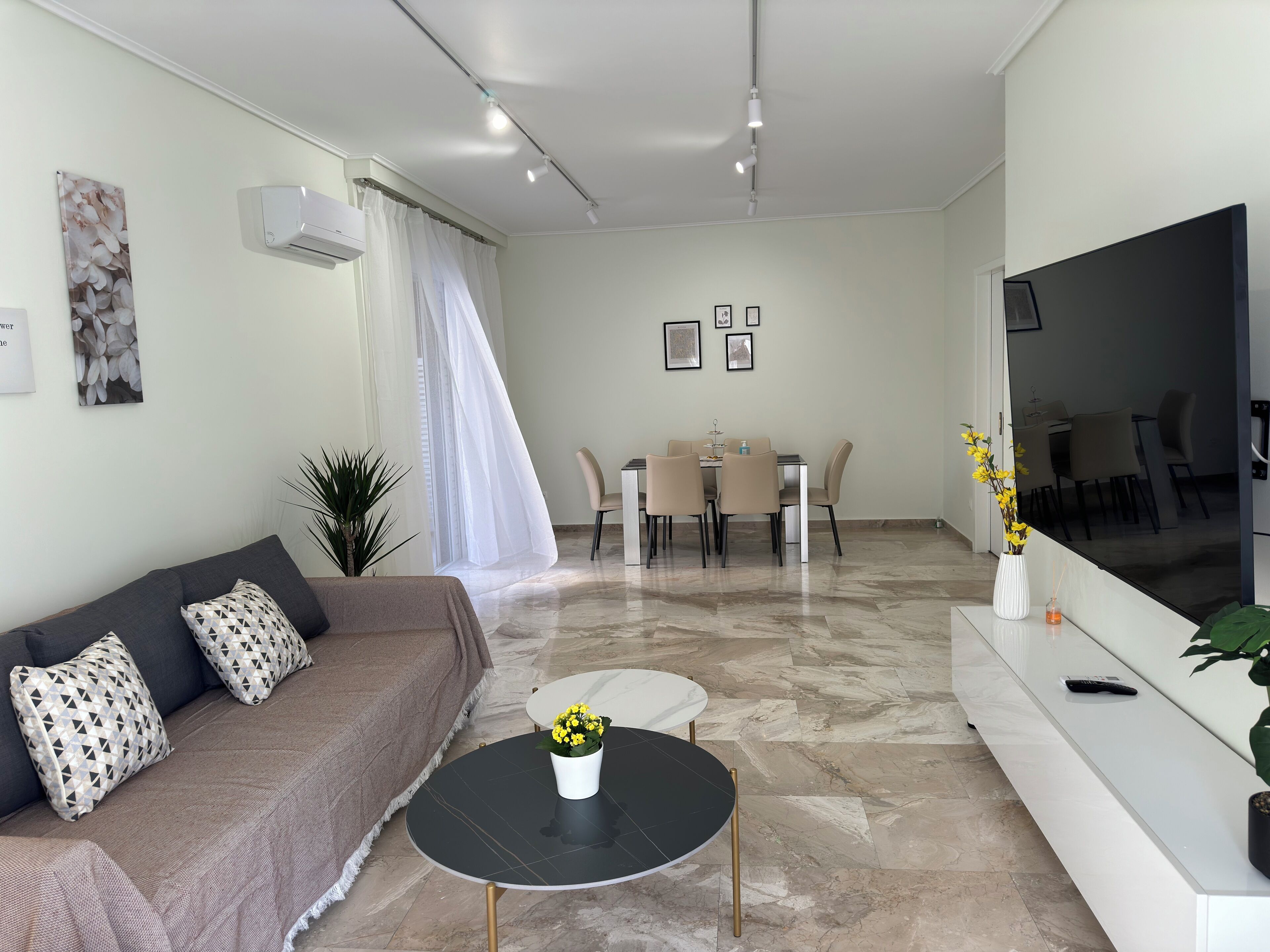 A modern living room with a sofa, a dining table, and chairs. There is a TV on the wall and a plant on the side.