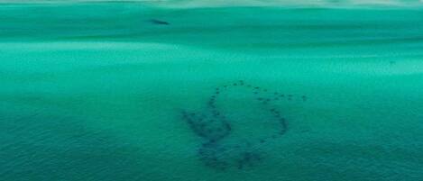 Ubicación cercana a la playa