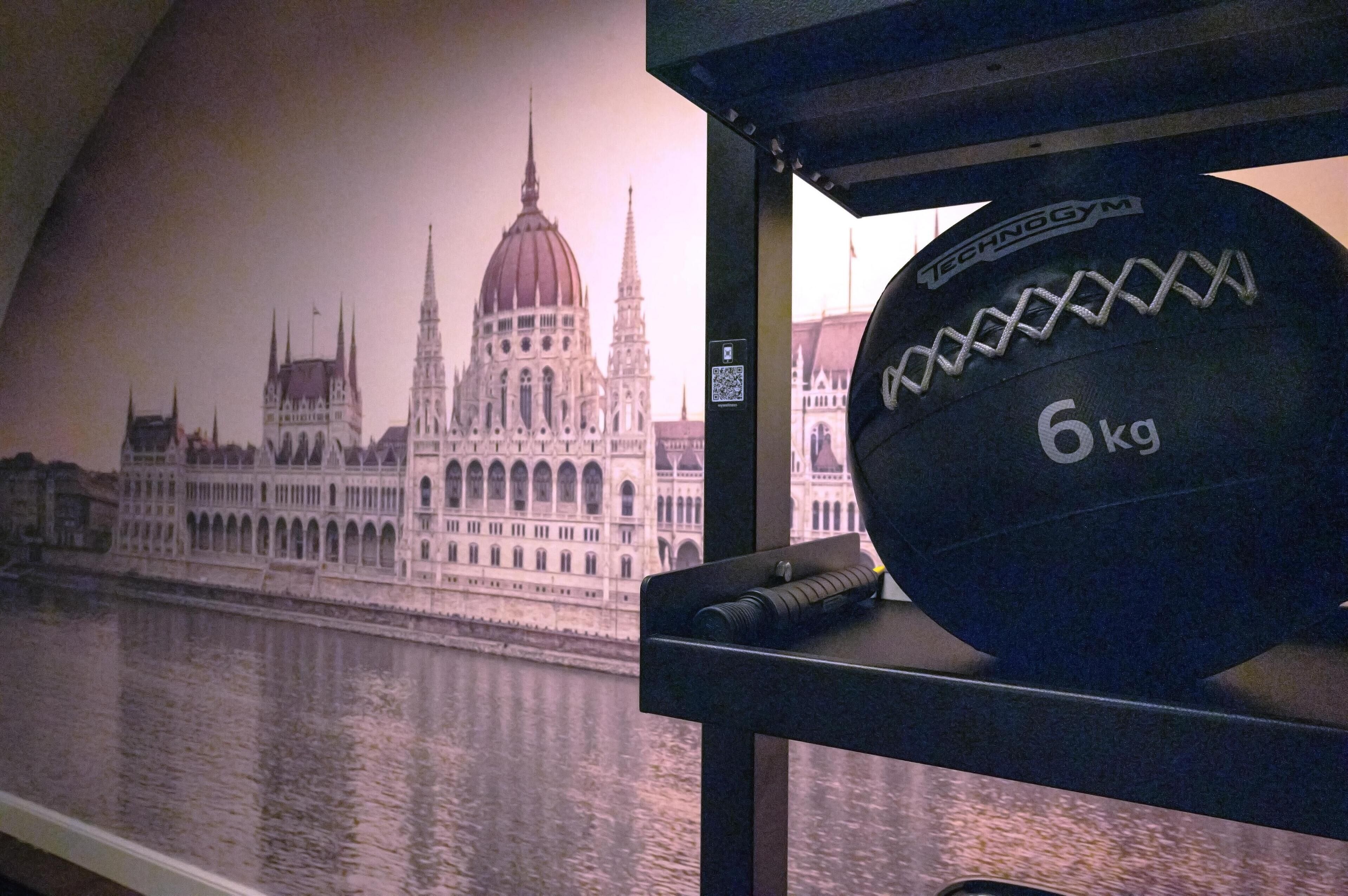 A gym with a 6kg exercise ball and a poster of a building with a dome and spires.