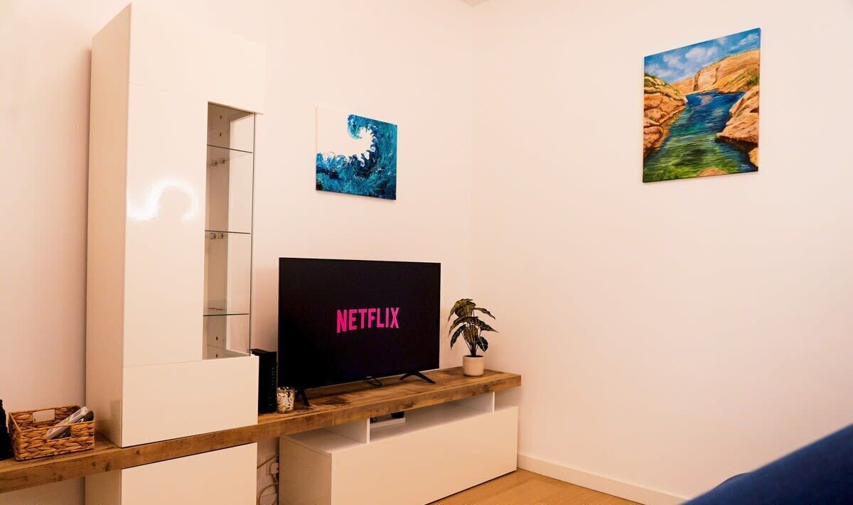 Een woonkamer met een televisie waarop 'NETFLIX' staat, een houten tv-meubel, een kleine plant en twee schilderijen aan de muur.
