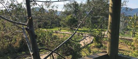 Una terraza de madera con vista a un jardín y un área cercada.