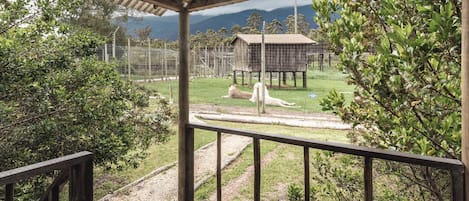 Cabin, 1 Bedroom, Smoking, Balcony | Garden