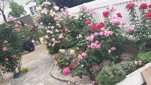 住宿地面