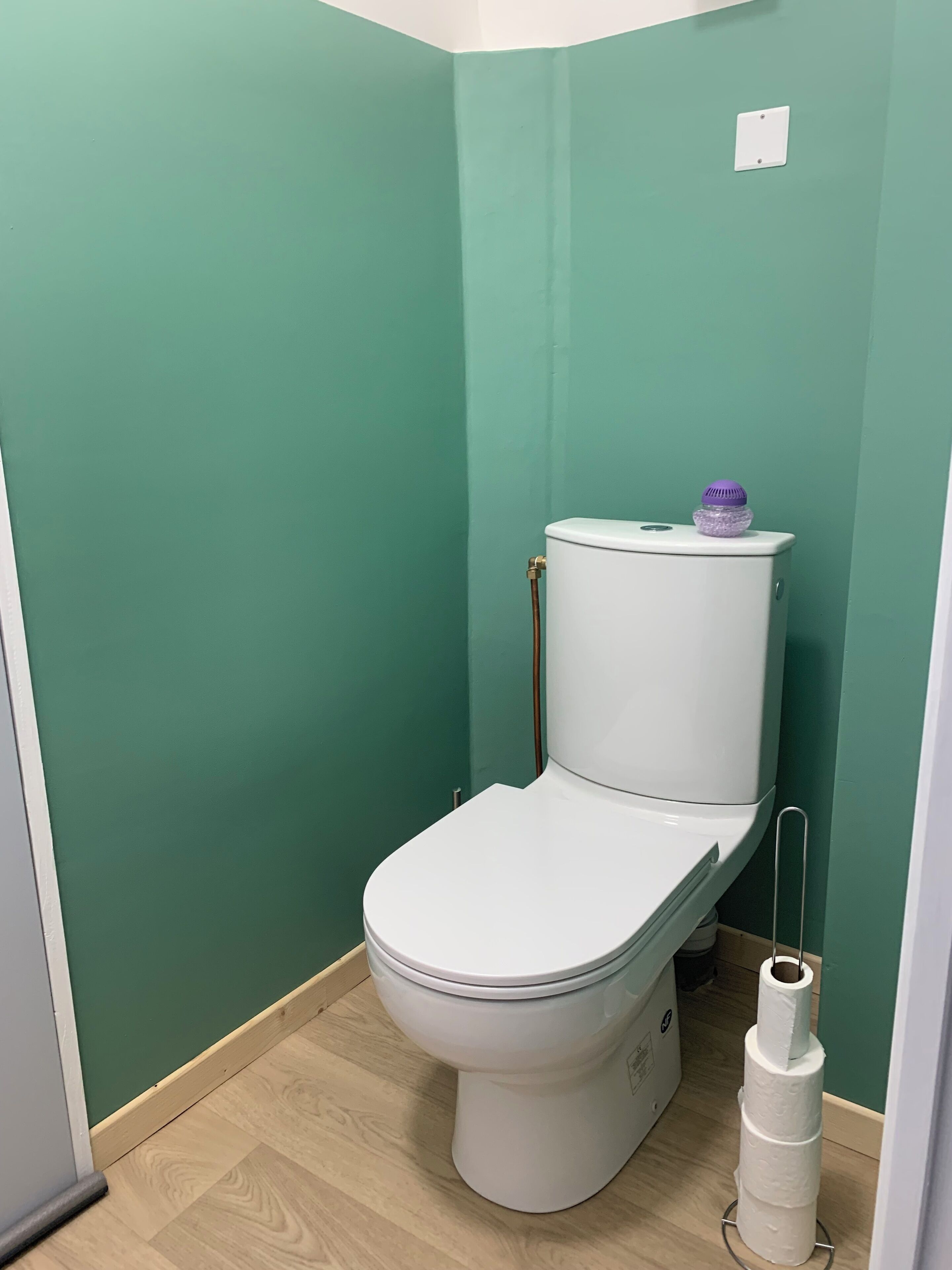Ein kleines, kompaktes Badezimmer mit Toilette in Weiß, einer grünen Wand und Holzboden.