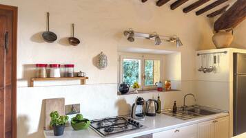 Fridge, oven, stovetop, coffee/tea maker