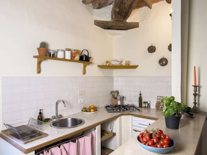 A kitchen with a sink, stove, and various utensils. There are shelves with jars and a potted plant.