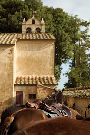 Miscellaneous - Mulberry Tree House (Toscana)