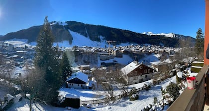 Nice studio Morzine, 4 persons, residence le St Alban