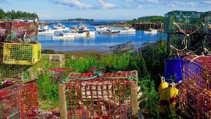 A harbor with boats and fishing traps.