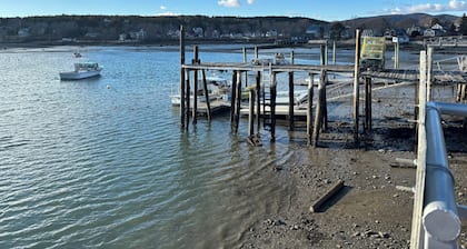 Acadia II on the Harbor A Cozy Charmer. Walk to Village. Waterfront Views.