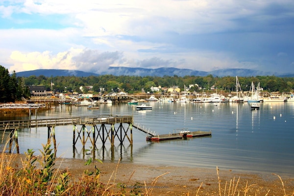 Quiet now, but it can be busy too!