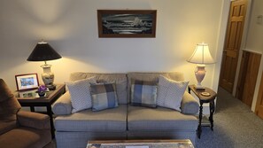 Älytelevisio, DVD-soitin, kirjoja, videokirjasto