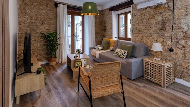 A cozy living room with a sofa, a wicker chair, a TV, and a lamp. - Tenerias Apart Corp S.L (Valencia)