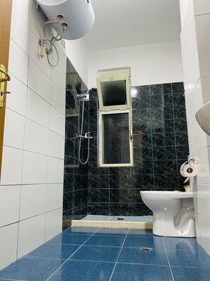 Hair dryer, towels, soap, toilet paper