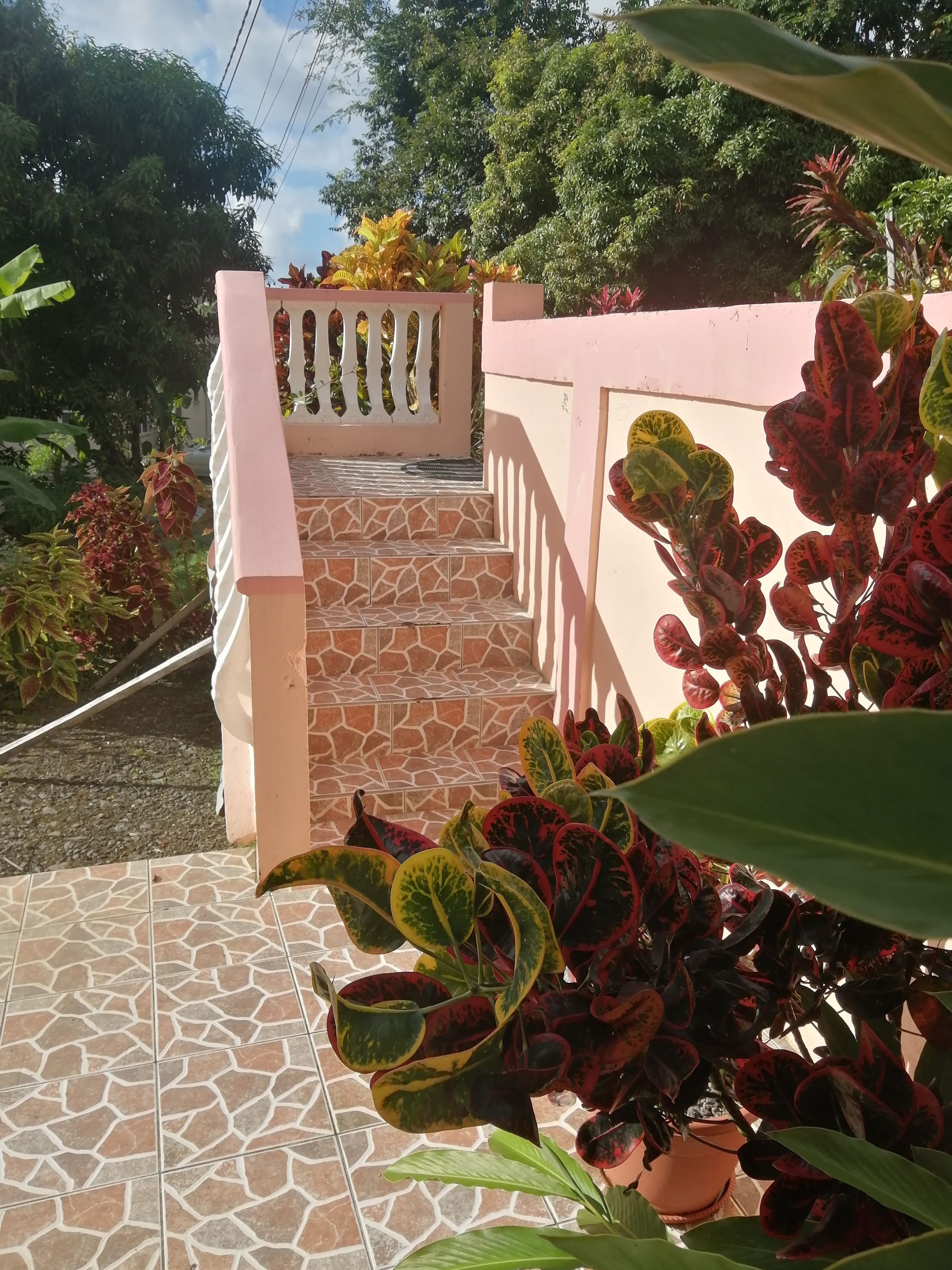 A paved outdoor area with a staircase leading to a gated entrance, surrounded by various potted plants.