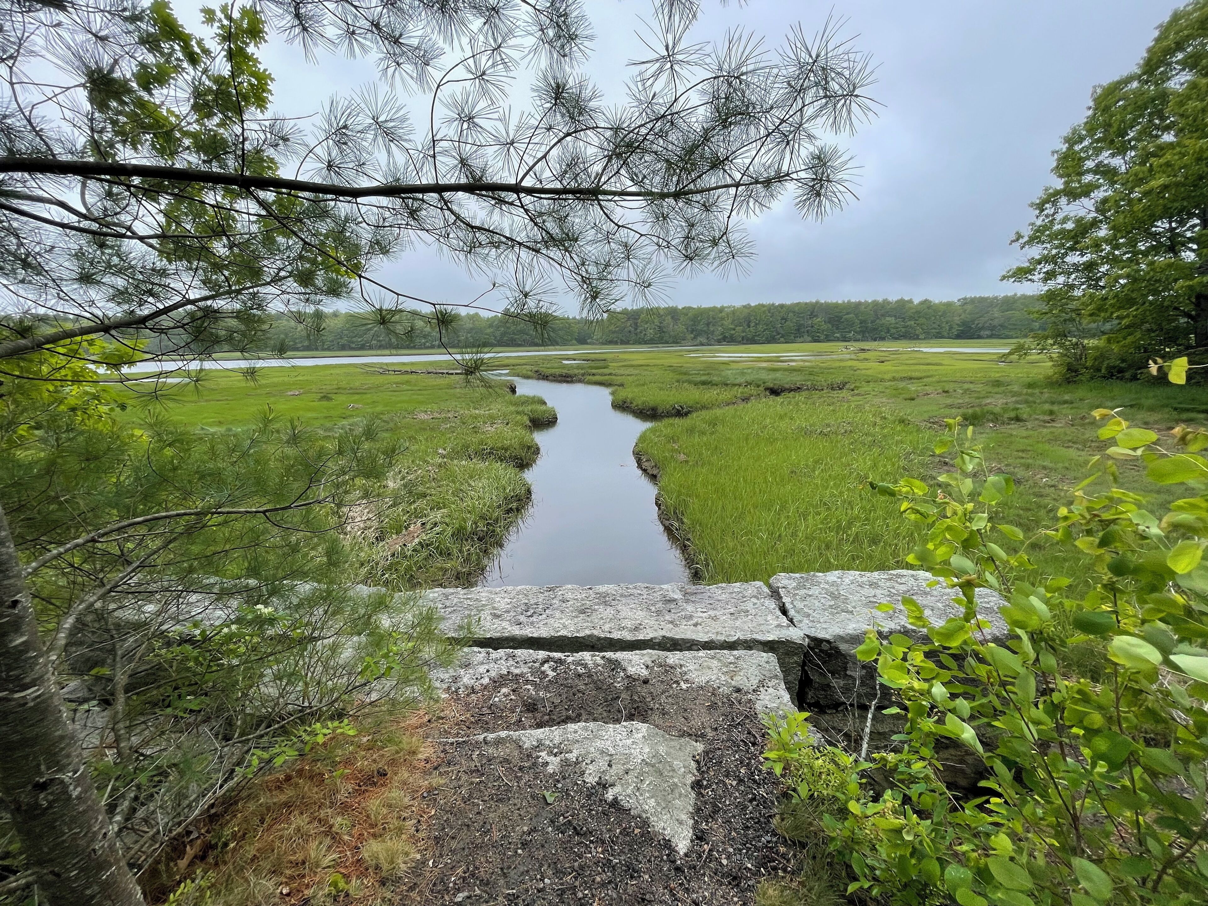 A river flowing through a grassy landscape with trees and a stone bridge.