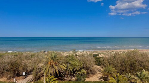 Beautiful Stella apartment in 1st line on the sea with swimming pool, palm tree