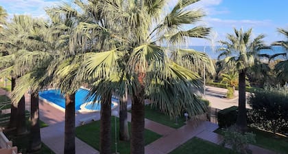 Beautiful Stella apartment in 1st line on the sea with swimming pool, palm tree