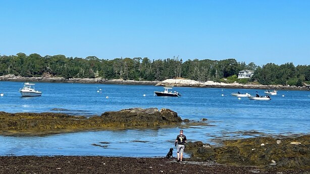 A coastal scene with rocky shores, boats on the water, and a house in the background. - Welcome to Owl House - Your Coastal Retreat in East Boothbay! (Boothbay)