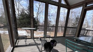A covered porch with a dog, a table, and a chair. - Welcome to Owl House - Your Coastal Retreat in East Boothbay! (Boothbay)