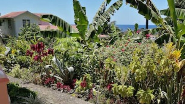 A garden with a variety of plants and a paved walkway. - Louislyn Apartments #8 Quiet and Scenic (Picard)
