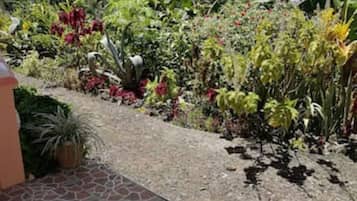 Overnatningsstedets område