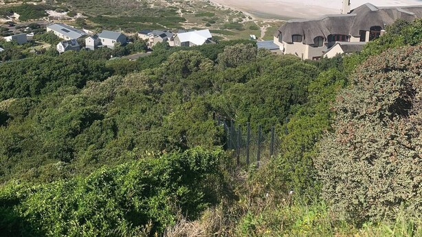 A coastal view with a beach, houses, and greenery.