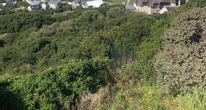 Heart of Noordhoek: Farm Village Getaway. 5 minutes to the beach.