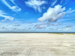On the beach