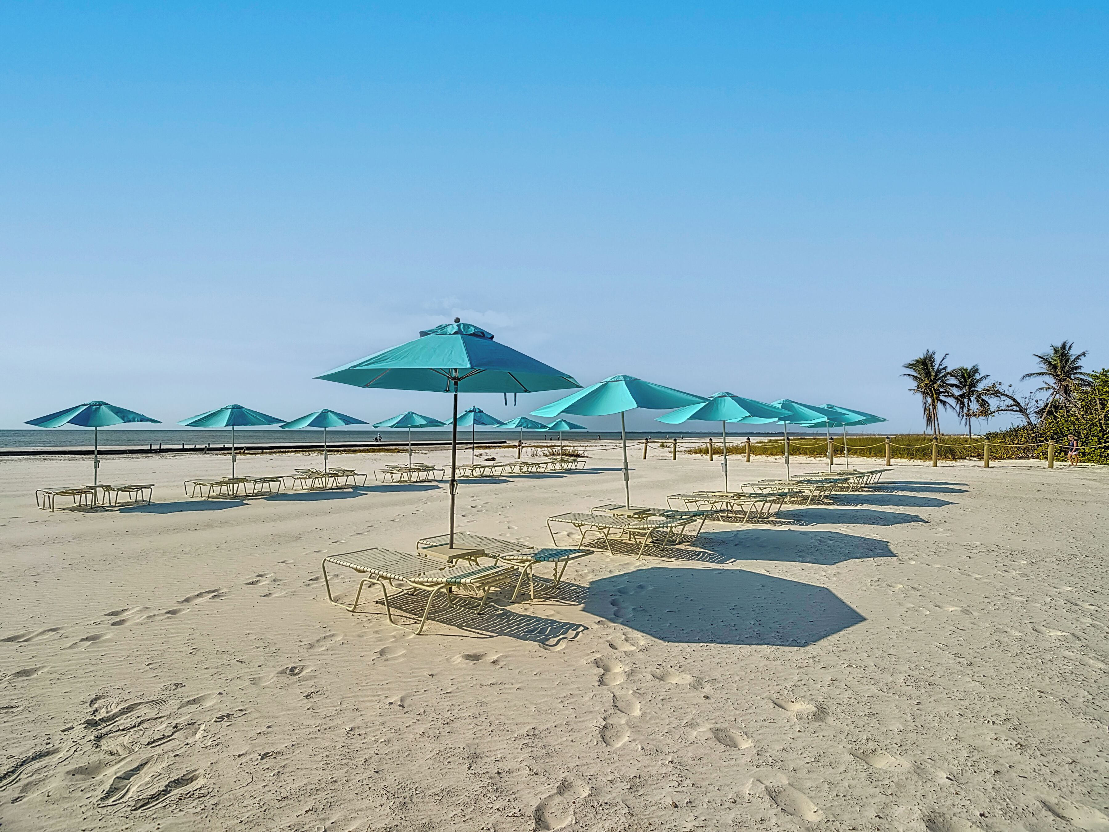 Ein Strand mit Liegestühlen und Sonnenschirmen, einem klaren Himmel und Palmen.