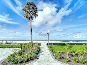 A paved walkway with a palm tree and a view of the ocean.