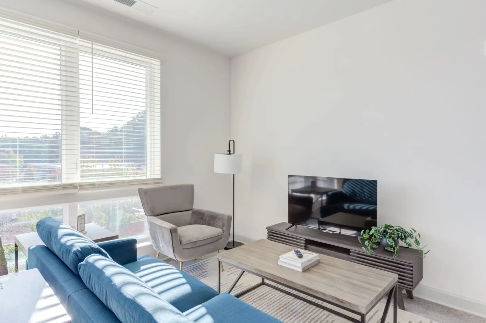 A modern living room with a sofa, armchair, coffee table, TV, and a plant.