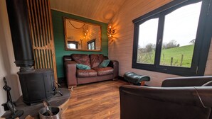 A cozy room with a wood-burning stove, a green wall, a leather sofa, and a large window offering a view of the outdoors.