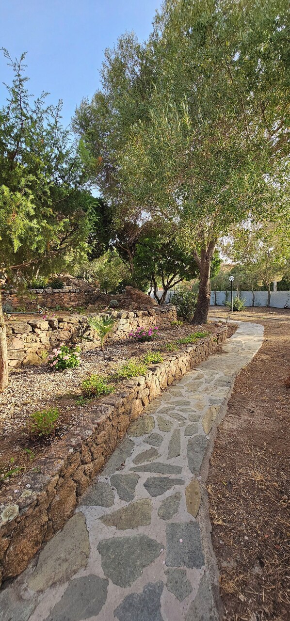 Área da propriedade