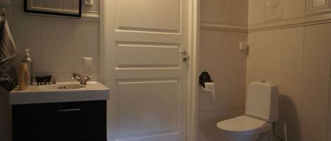 A bathroom with a sink, mirror, and toilet.
