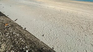 Una extensa playa de arena con cielo azul despejado y mar tranquilo.