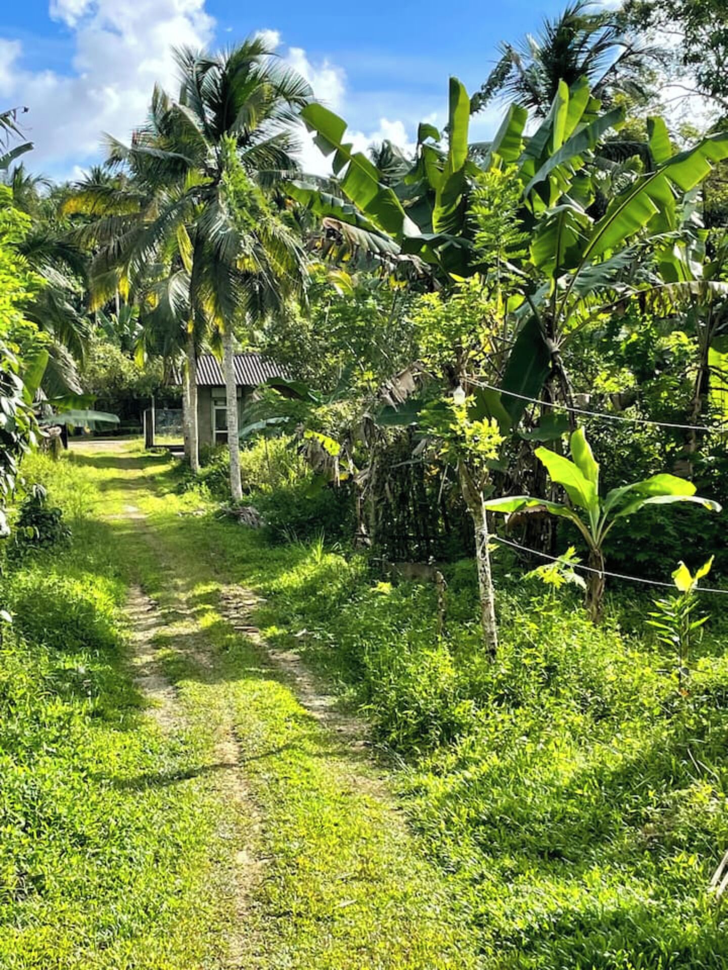 المنطقة المحيطة بالمنشأة