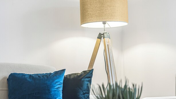 A modern living room with a white sofa, a round coffee table, a floor lamp, and a potted plant.