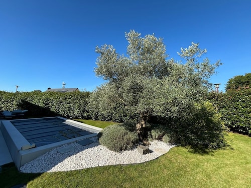 Maison contemporaine familiale avec piscine extérieure et jardin