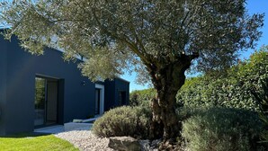 A modern house with a large tree in the front yard, surrounded by gravel and grass. - Contemporary family home with outdoor pool and garden (Prinquiau)