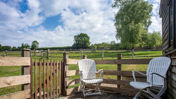 A wooden deck with two white Adirondack chairs overlooking a fenced pasture. - Accessible Friendly Farm Stay (Mayfield)