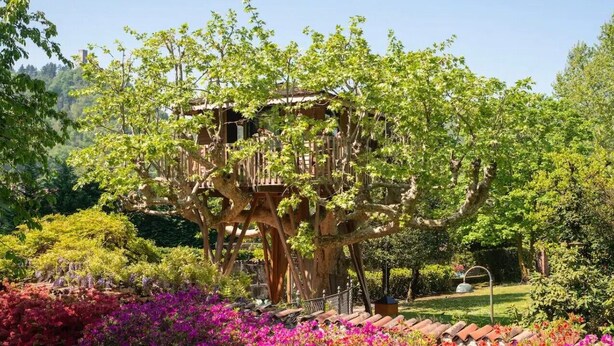 A treehouse structure with a wooden exterior and a complex network of branches and platforms. - Lake Como Dream Treehouse (Como)