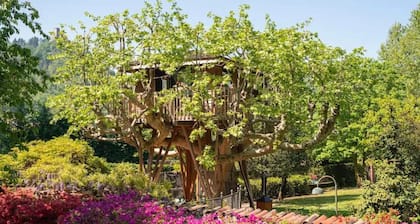 Lake Como Dream Treehouse