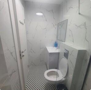 Secador de pelo, toallas y papel higiénico