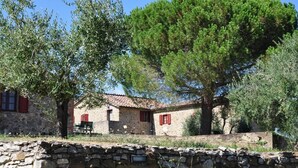 A stone building with a tiled roof, red shutters, and a large tree in front.
