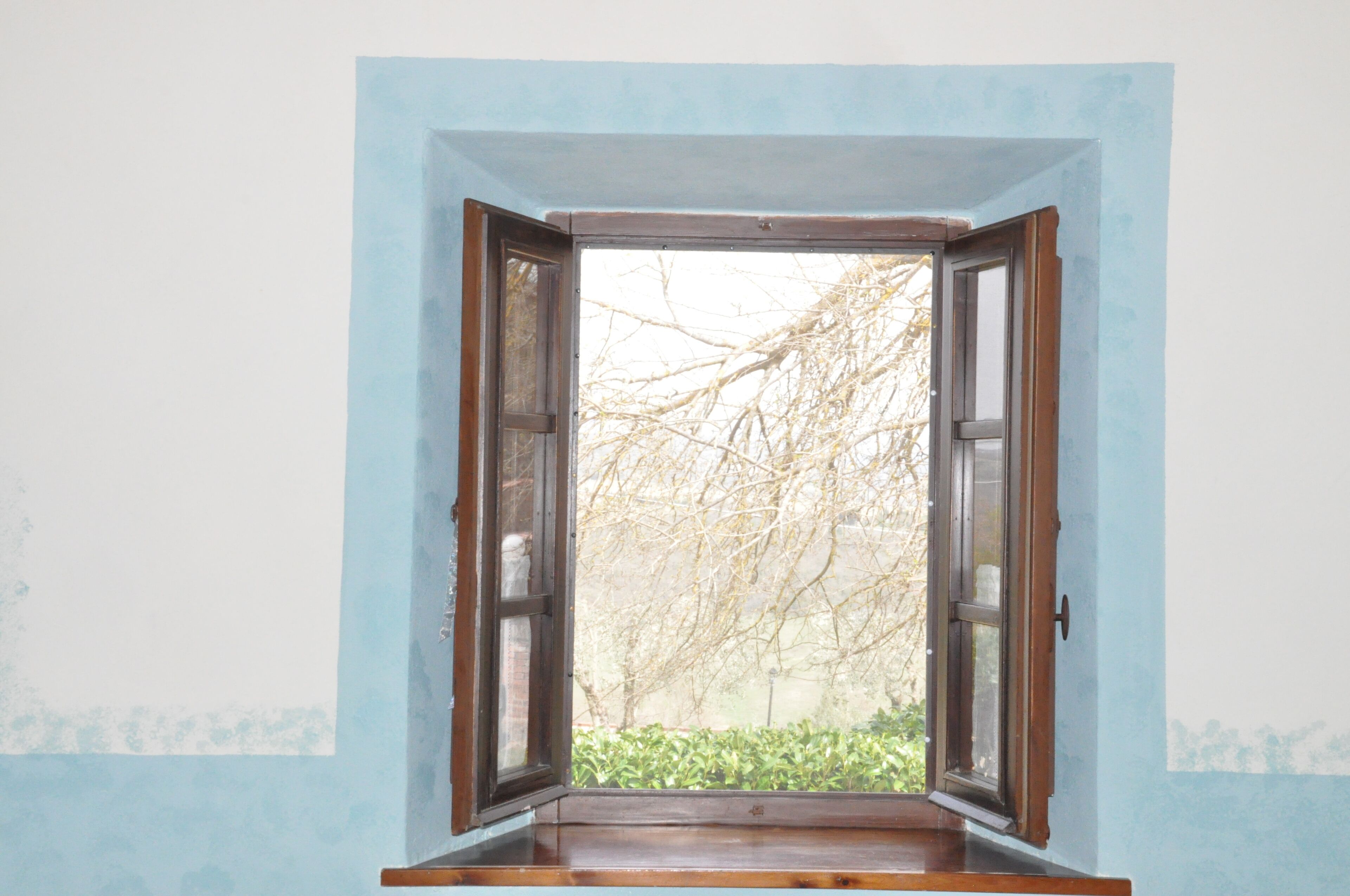 An open window with a view of bare trees and a hedge outside.