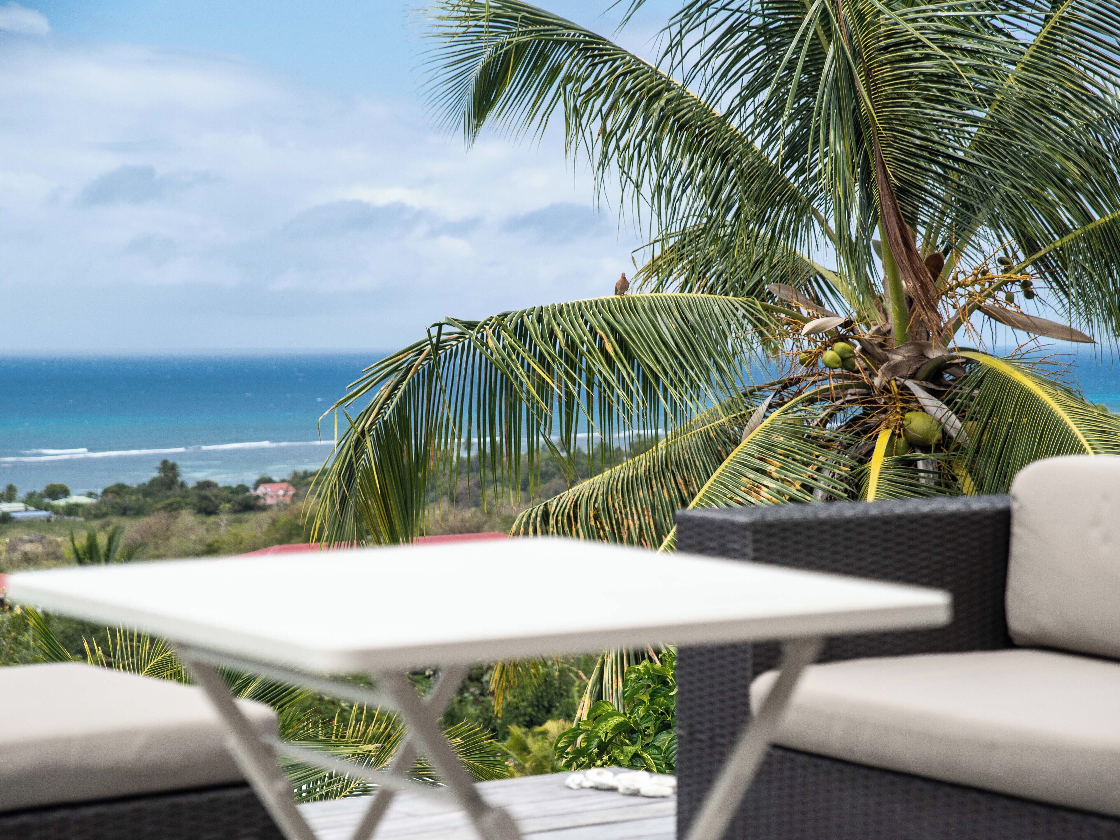 Une terrasse avec une table et des chaises, offrant une vue sur la côte, avec des palmiers et l’océan.