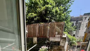 A balcony with a small table and chairs, a potted plant, and a view of a courtyard with a wooden fence and greenery.