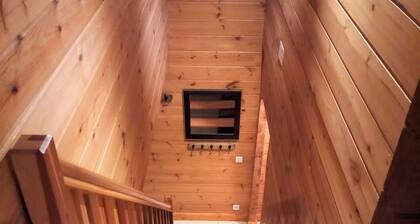 "Chalet des Brocards situé au pied Ballon d'Alsace, animaux acceptés !